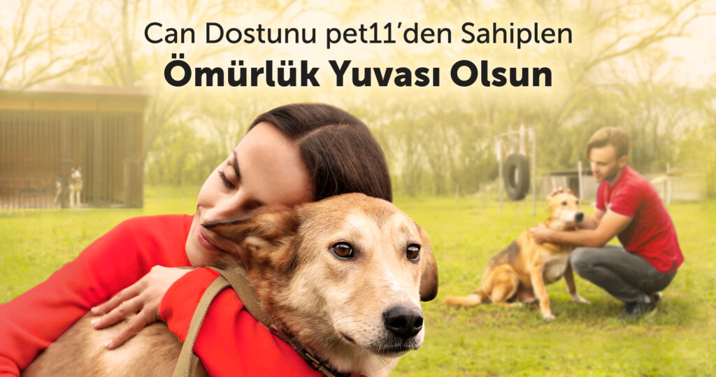 pet11, Kadıköy Belediyesi Hayvan Bakımevi iş birliğiyle “Barınaktan Köpek Sahiplenme” projesini başlattı!