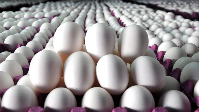 Yumurta Fiyatları Zirveyi Gördü! Sektör Liderinden Kritik Uyarı!