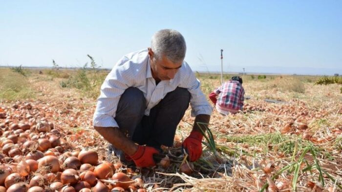 Sarıbal: 2021 yılında tarımın bütün kesimleri kaybetti