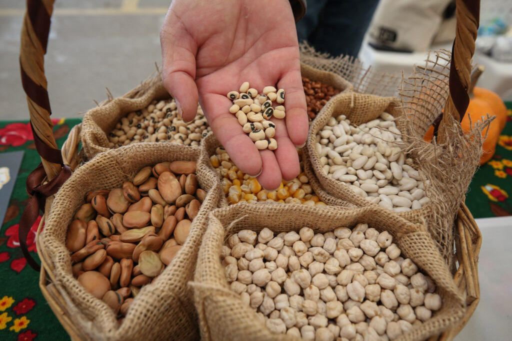 Nilüfer’de on binlerce tohum takas edildi