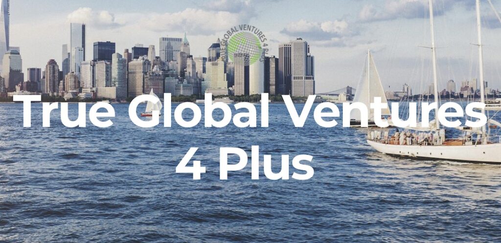 True Global Ventures, web3 lideri Animoca Brands’e 38 milyon dolar yatırım yaptı