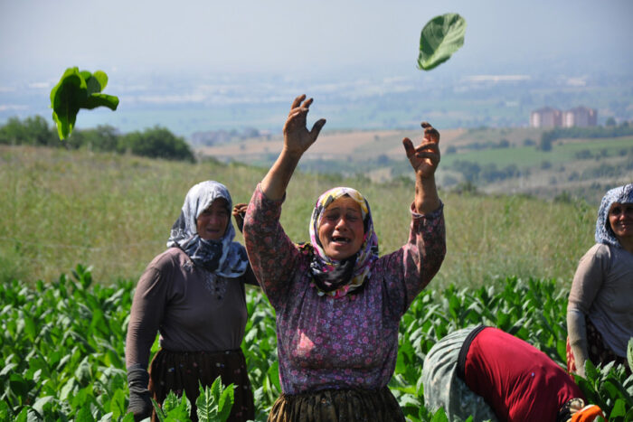 Sarıbal; Kadınlar tarımın bel kemiği