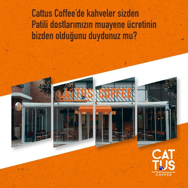 Sosyal Proje Kafesi Cattus!