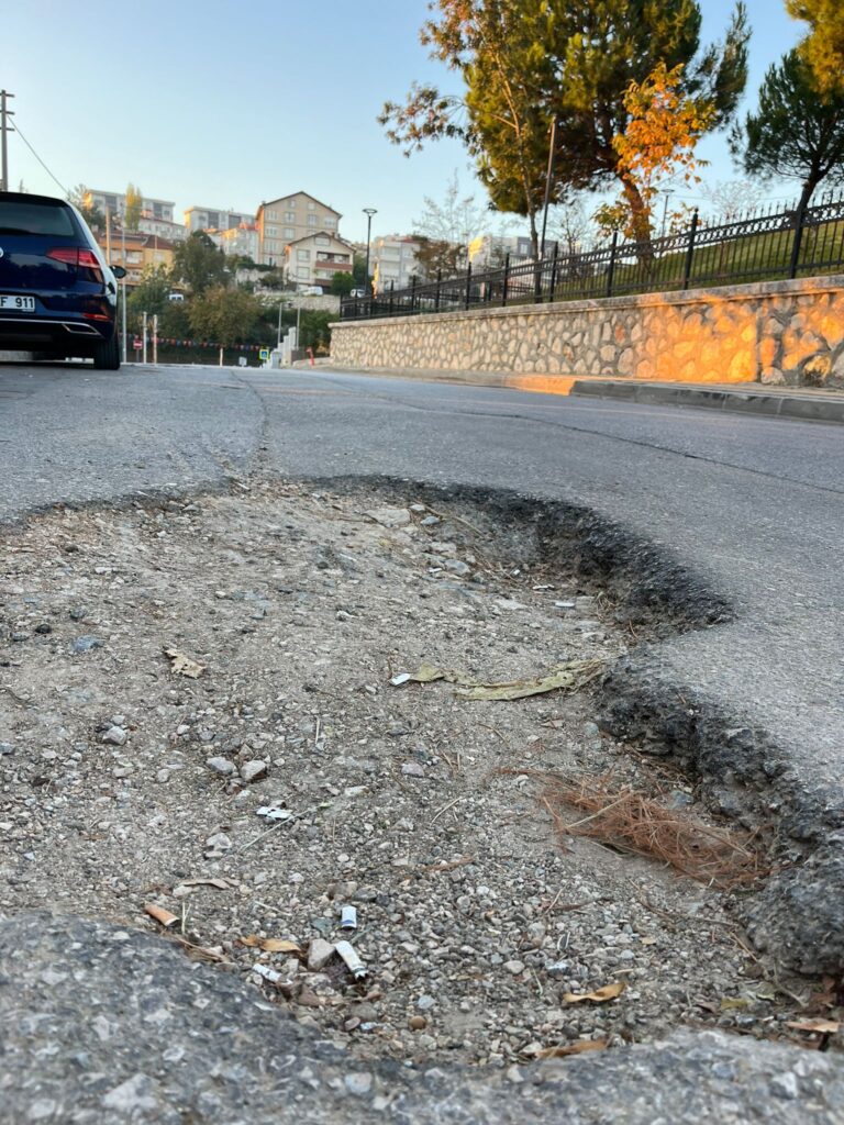 5 Aydır Asfaltlanmayan Yola Fidan Dikerek Protesto Etti…