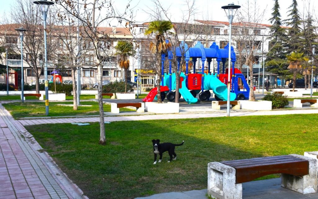 Gemlik’te Çevre Düzenleme Çalışmaları Devam Ediyor