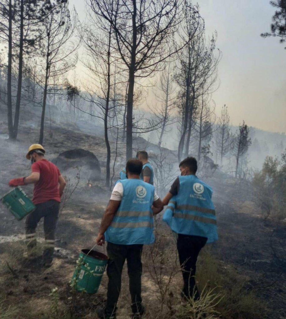 Ülkü Ocakları Yangın Bölgelerinde Ön Saflarda: “Yeşil Vatan İçin Canla Başla Mücadele”