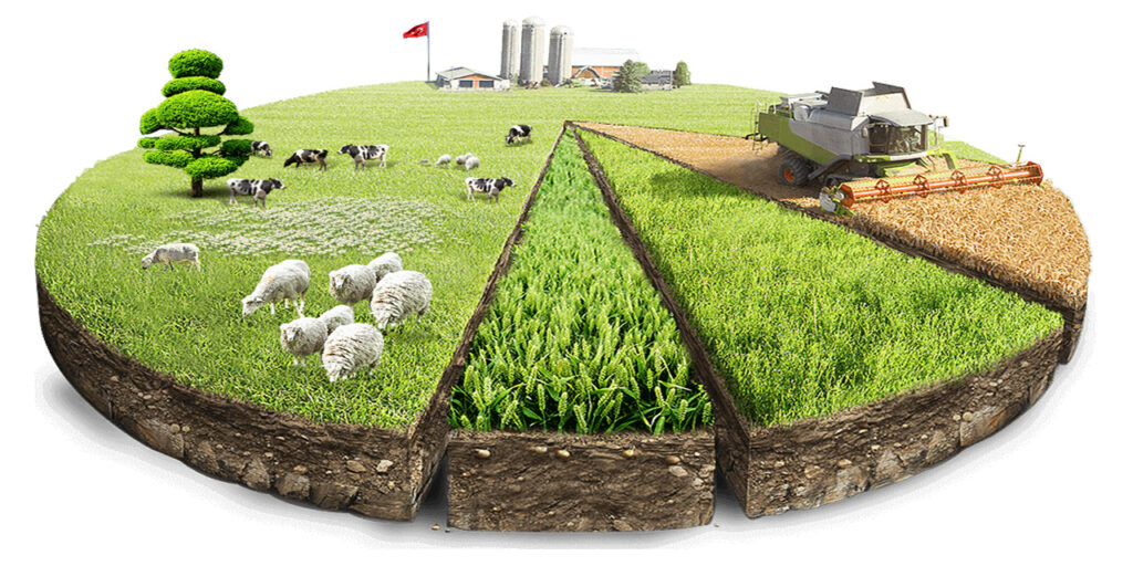 Tarım ve Hayvancılığa Yeni Bir Yol Haritası