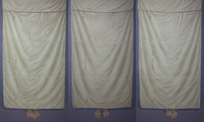 Ahmad Rafi’nin “Against Transparency” Adlı Sergisi  Shiva Zahed Gallery’de Ziyarete Açılıyor