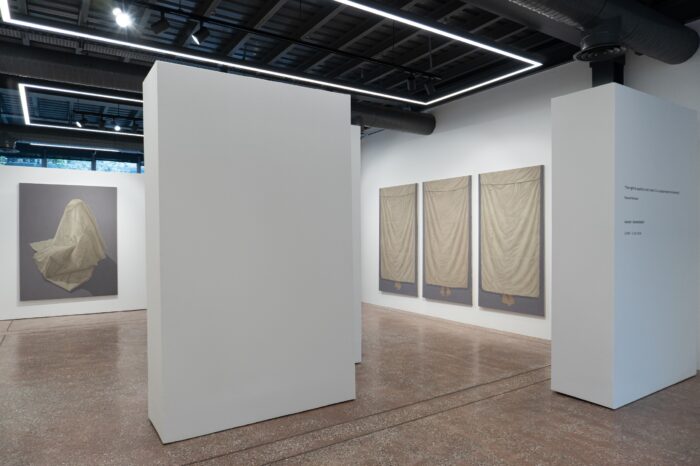 Ahmad Rafi’nin “Against Transparency” Adlı Sergisi 18 Temmuz’a dek Shiva Zahed Gallery’de Devam Ediyor