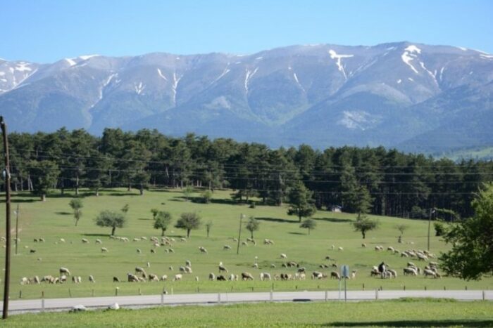 BEDFE Genel Başkanı B. Savaş Albayrak’tan Büyük Erzurum Yayla Şenliği’ne Anlamlı Davet