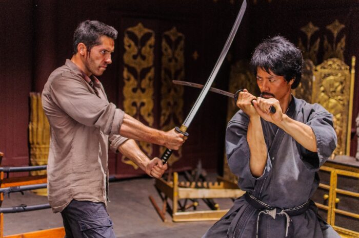 Ninja 2: Gözyaşının Gölgesi  (Ninja: Shadow Of A Tear)