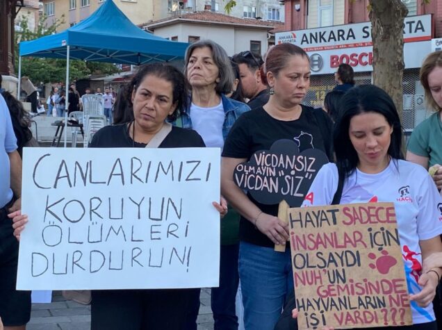 Bursa’da Hayvan Hakları İçin Yeni Yapılanma