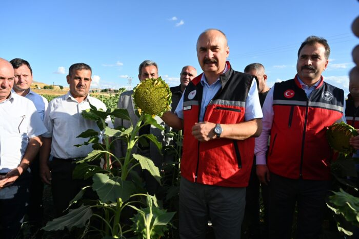 Vali Canalp, Yağlık Ayçiçeği Tarla Günü Etkinliğine Katıldı