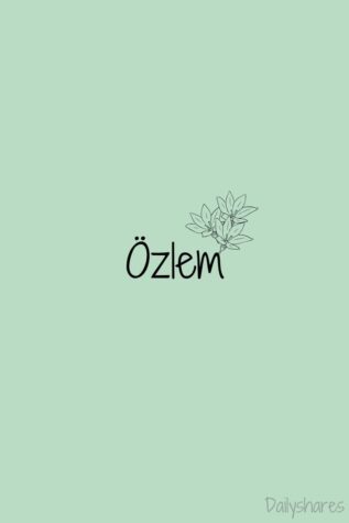 ÖZLEM