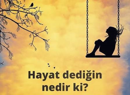 Hayat Dediğin Nedir Ki?